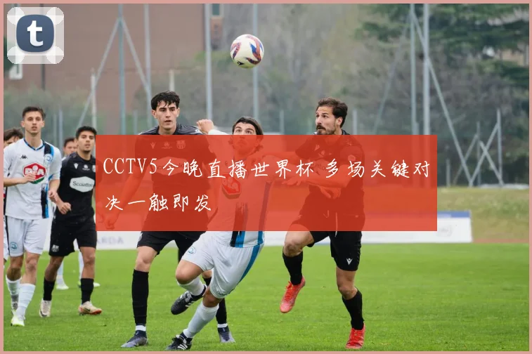 CCTV5今晚直播世界杯 多场关键对决一触即发